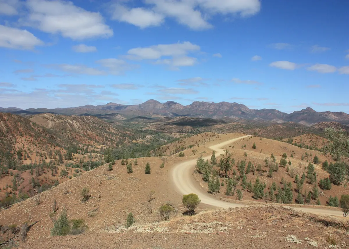 The road winding through Bunyeroo Valley