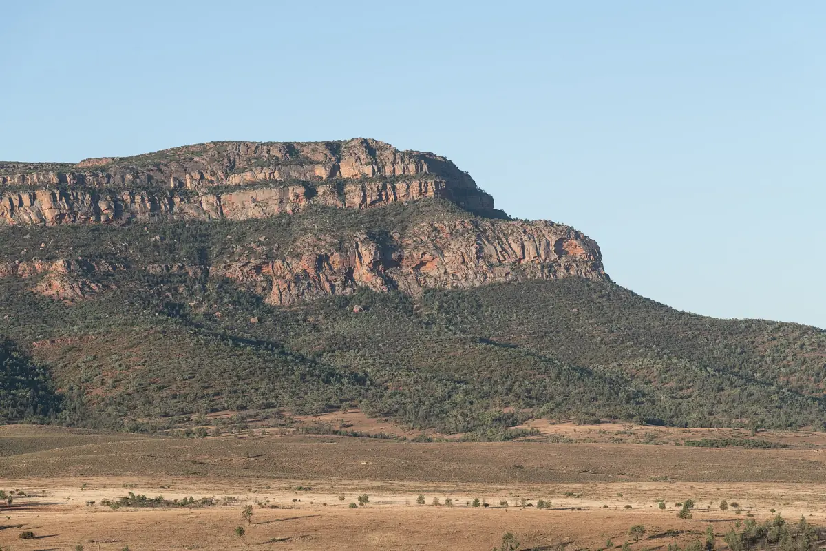 Rawnsley Bluff rising above the plains of the Flinders Ranges