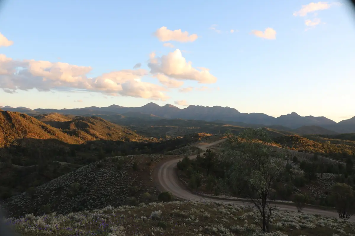 A road meandering through the Flinders Ranges