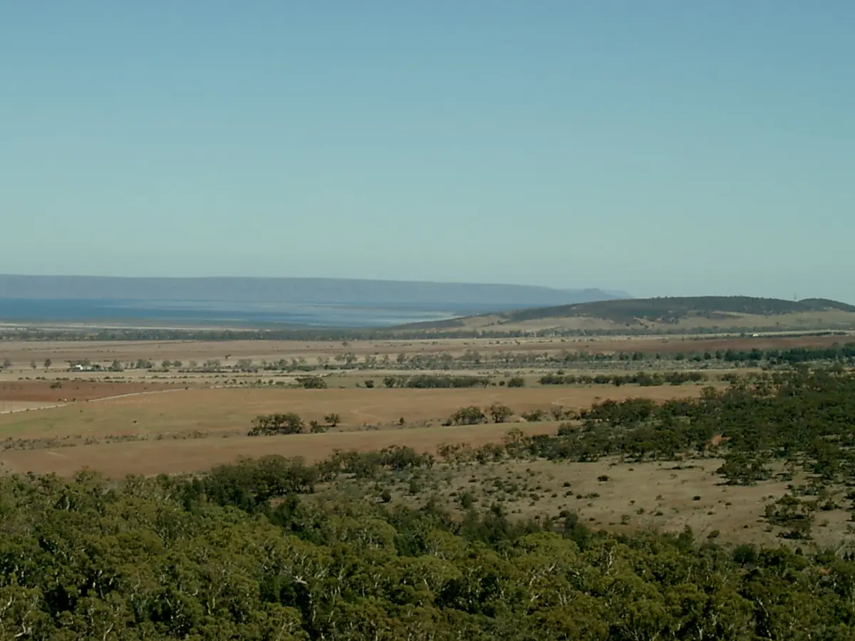 The plains and gulf seen from Mount Remarkable