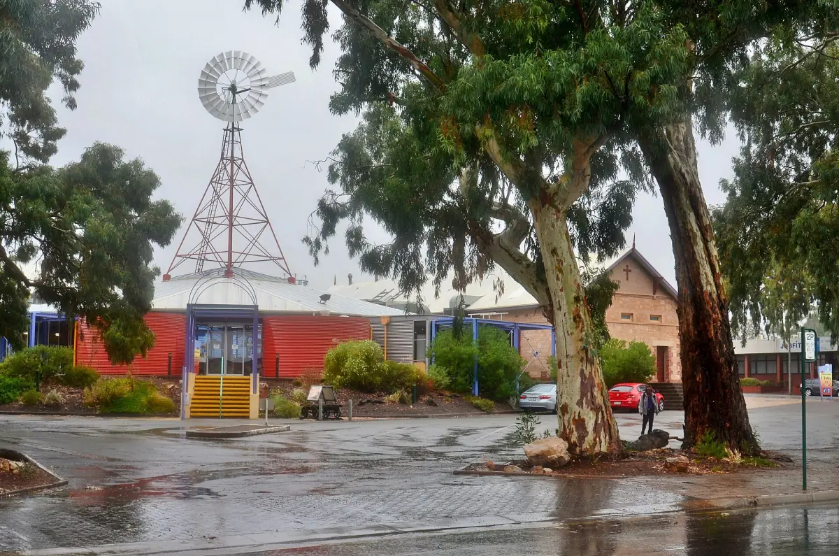 A windmill and gum tree beside the Wadlata Outback Centre