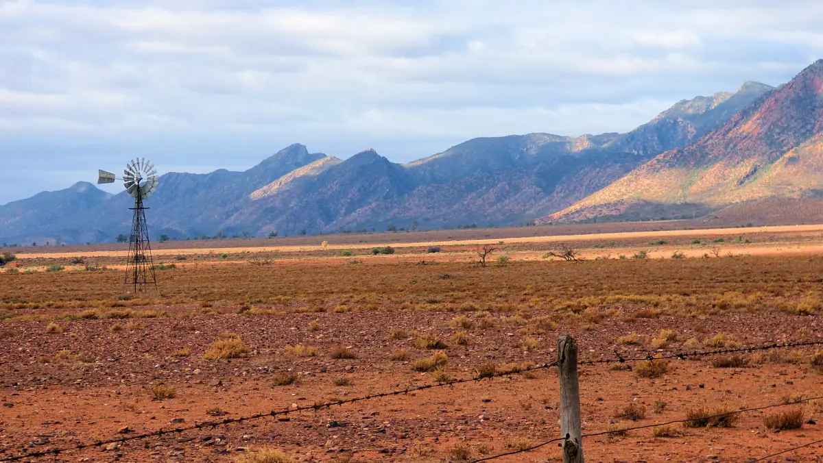 A windmill below the Ikara-Flinders Ranges